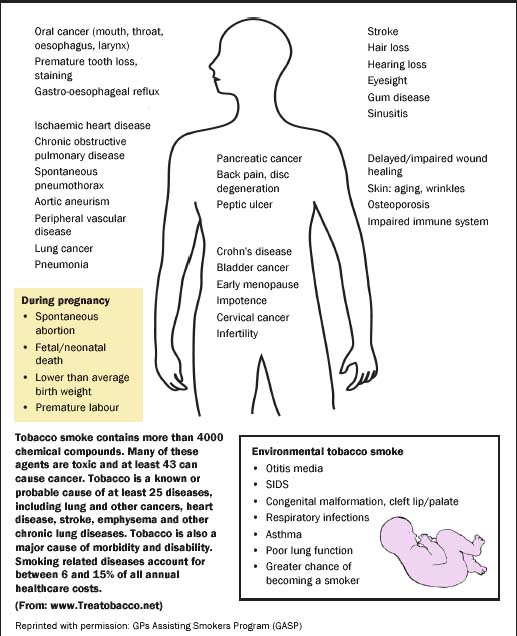 effects of smoking. The health effects of smoking